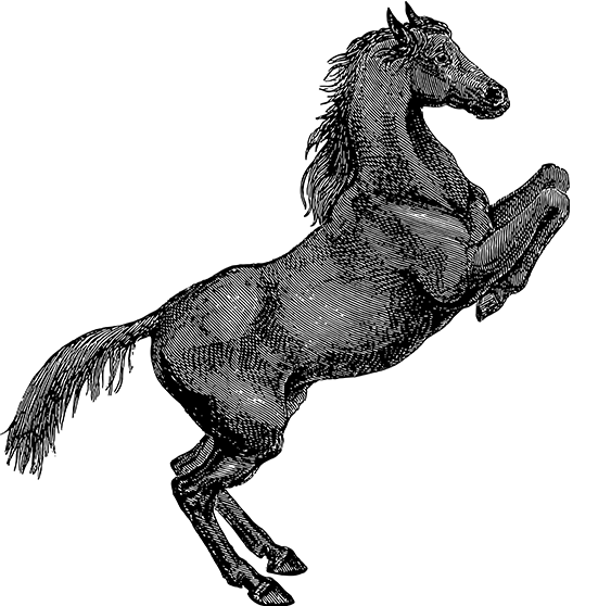 咪咕