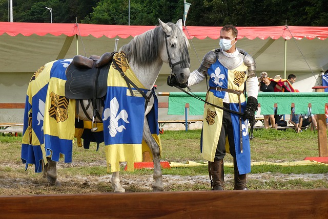 他们击败了 他们击败了