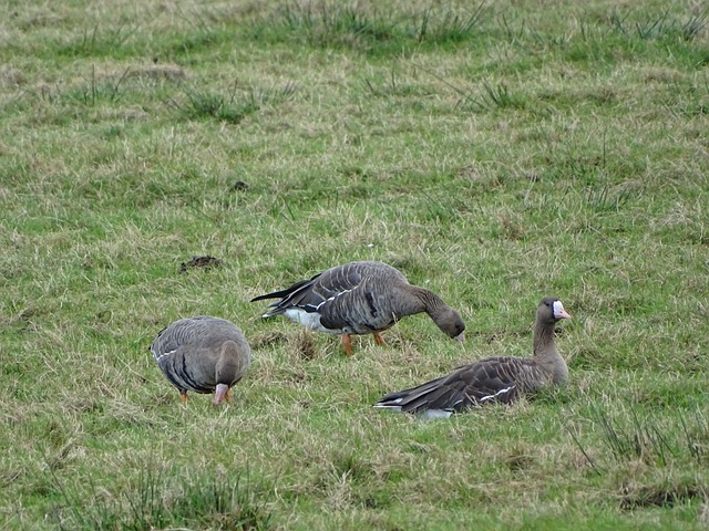 又一高光时 又一高光时