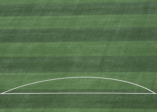 全场沸腾 全场沸腾