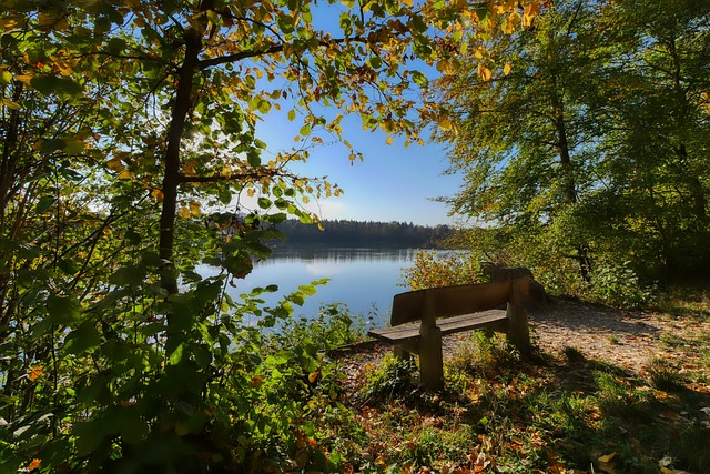 义在于国家 义在于国家