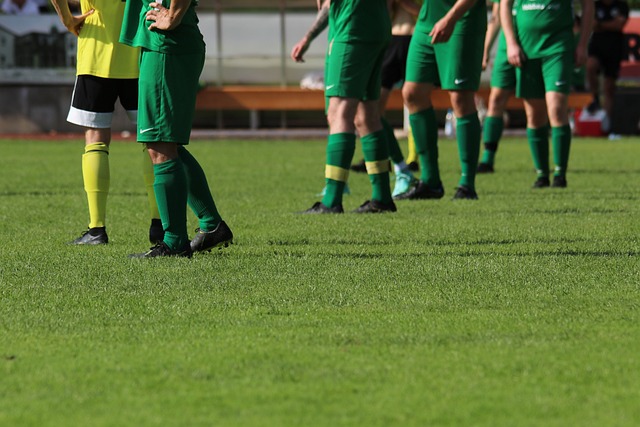 德国足球的 德国足球的